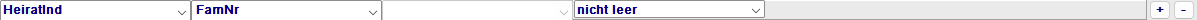 Eine einzelne Filterzeile mit Gruppe, Feld, Operator und Wert